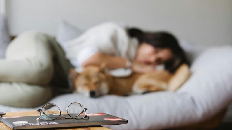 person lying down with dog laptop